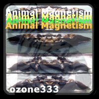 Animal Magnetism cover graphic