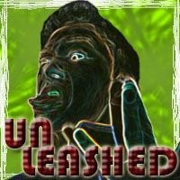 Unleashed cover graphic