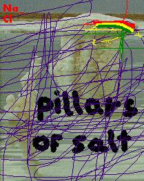 Pillars of salt cover graphic