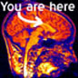 You Are Here_image