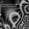 Sexual Transmission - [Radio Cut]_image