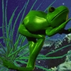 Liquid Lik'n Frog--NANO_image