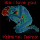 Like I Love You-Kriminal Remix_image