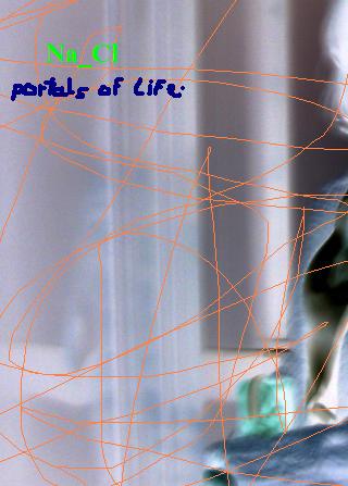 Portals of life_image