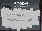 retract statement breed rmx for monosoul_image